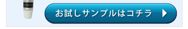 お試しはコチラ